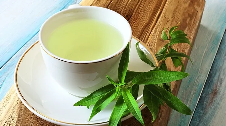 Enjoy Lemon Verbena - tofillo