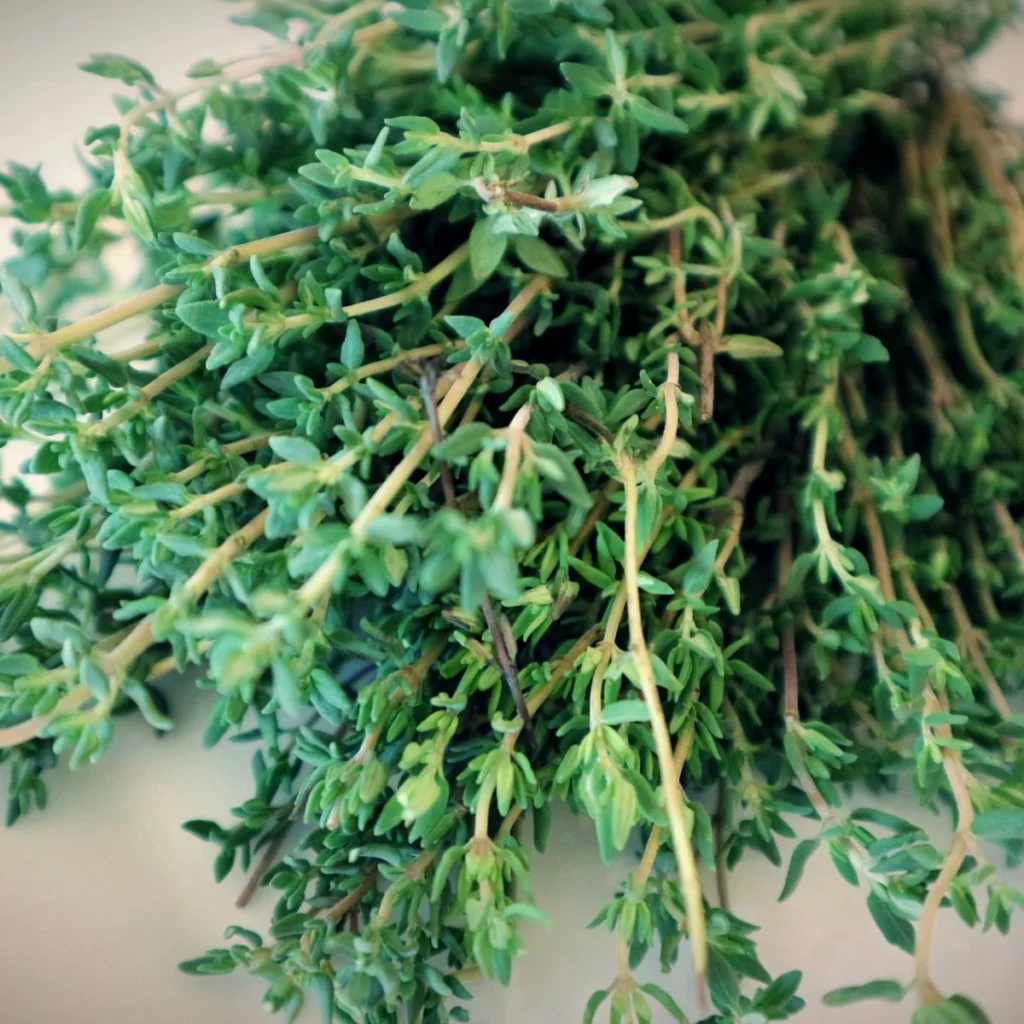 Herbs calm stomach and rosemary