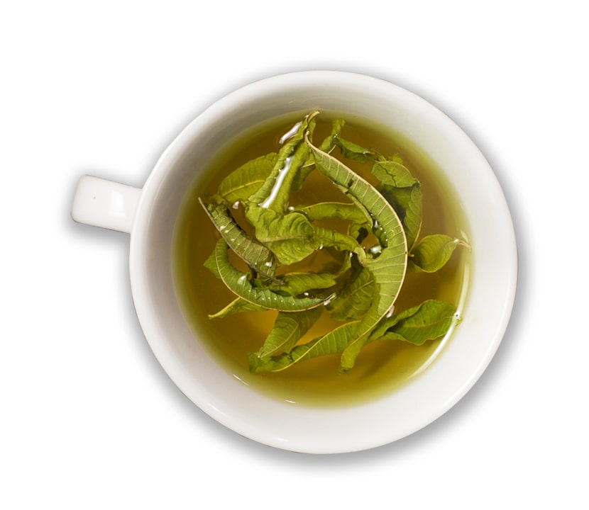 Lemon Verbena Wellness