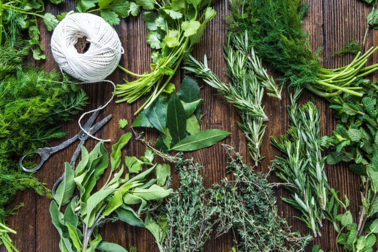 Green tea - herbs