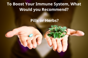 Strengthen Your Immune System - Pills or Herbs - tofillo